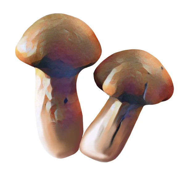 Different Tipes Brown Mushrooms White Background Clip Art Art Hand — Foto Stock