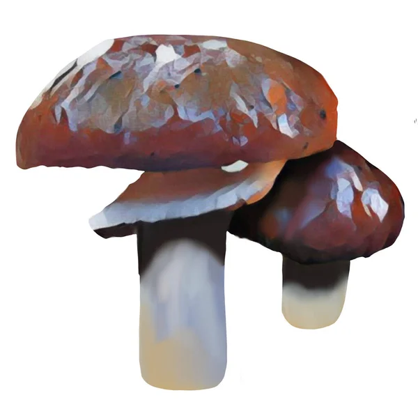 Different Tipes Brown Mushrooms White Background Clip Art Art Hand — ストック写真