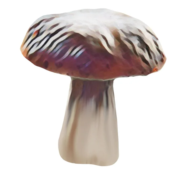 Tipi Diversi Funghi Marroni Sfondo Bianco Clip Art Arte Fungo — Foto Stock