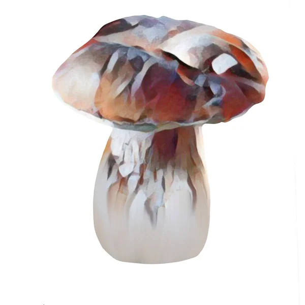Different Tipes Brown Mushrooms White Background Clip Art Art Hand — Fotografia de Stock