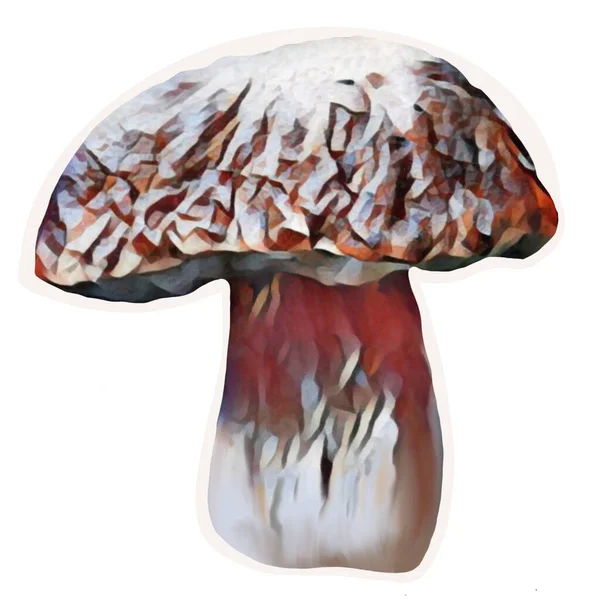 Different Tipes Brown Mushrooms White Background Clip Art Art Hand — Zdjęcie stockowe