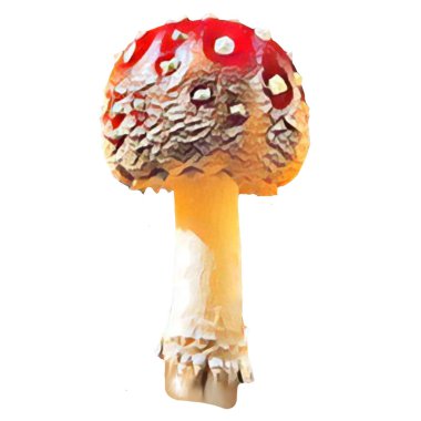 Different Amanita Mushrooms on white background, clip-art, art, illustration. Ycan yse it on your own.