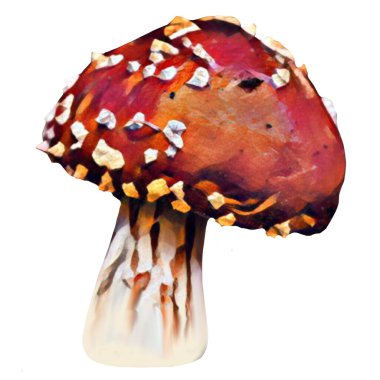 Different Amanita Mushrooms on white background, clip-art, art, illustration. Ycan yse it on your own.