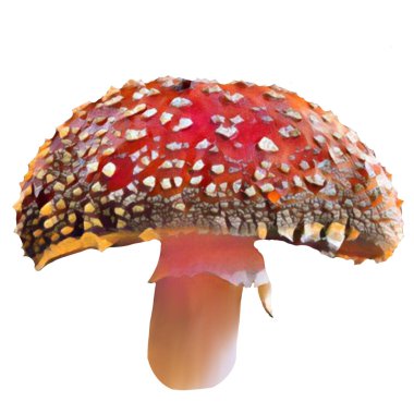 Beyaz arka planda farklı Amanita mantarları, klipsli sanat, sanat, illüstrasyon. Kendi başına temizleyebilirsin..
