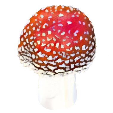 Different Amanita Mushrooms on white background, clip-art, art, illustration. Ycan yse it on your own.