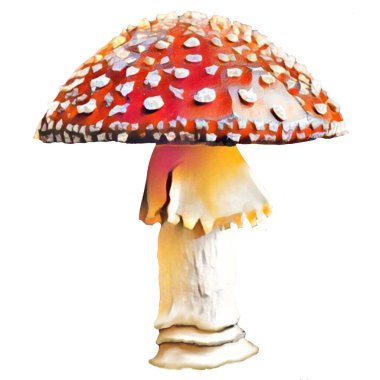 Beyaz arka planda farklı Amanita mantarları, klipsli sanat, sanat, illüstrasyon. Kendi başına temizleyebilirsin..