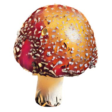 Different Amanita Mushrooms on white background, clip-art, art, illustration. Ycan yse it on your own.