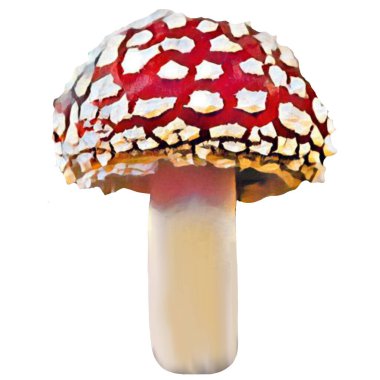 Different Amanita Mushrooms on white background, clip-art, art, illustration. Ycan yse it on your own.