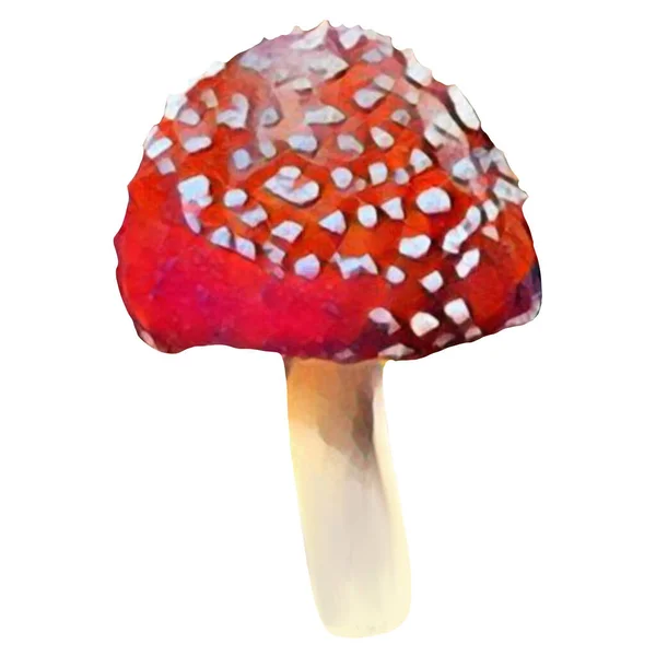 Different Amanita Mushrooms White Background Clip Art Art Illustration Ycan — ストック写真