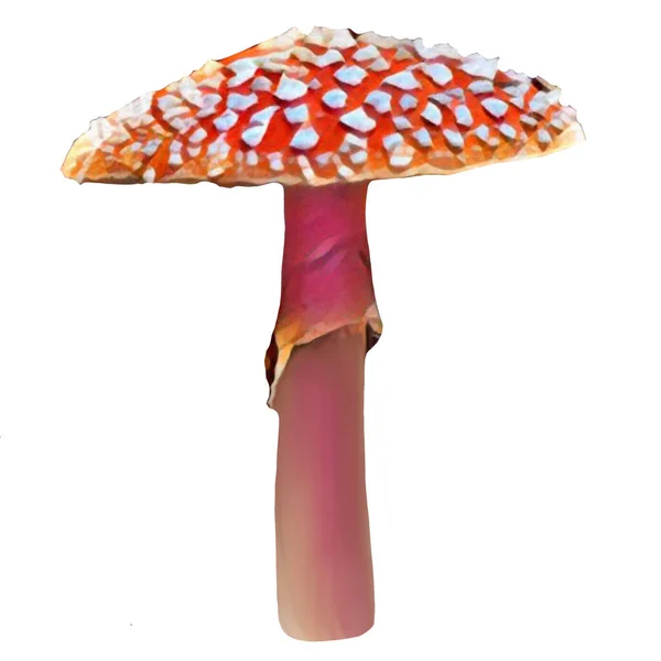 Different Amanita Mushrooms White Background Clip Art Art Illustration Ycan — стоковое фото