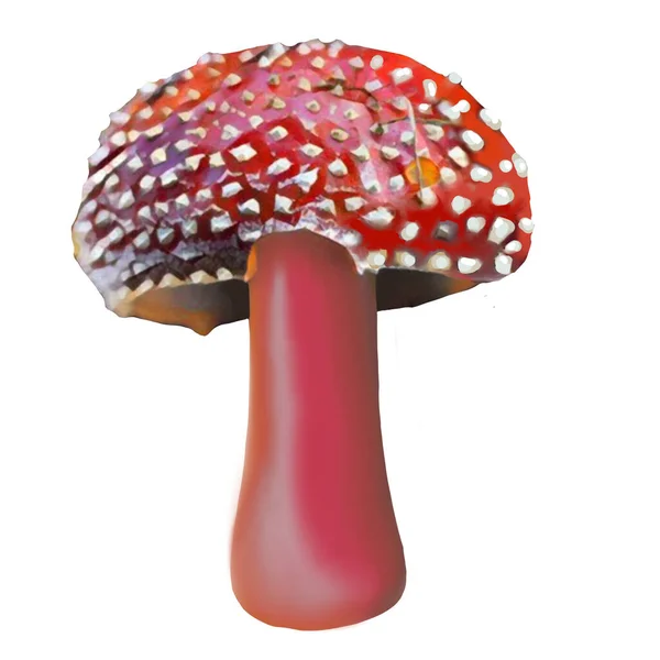 Different Amanita Mushrooms White Background Clip Art Art Illustration Ycan — ストック写真