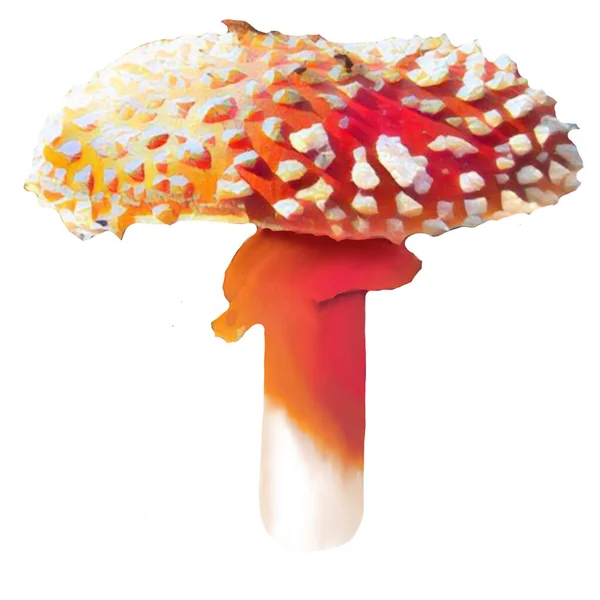 Different Amanita Mushrooms White Background Clip Art Art Illustration Ycan — стокове фото