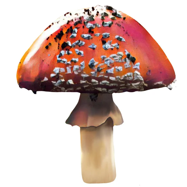 Different Amanita Mushrooms White Background Clip Art Art Illustration Ycan — Zdjęcie stockowe