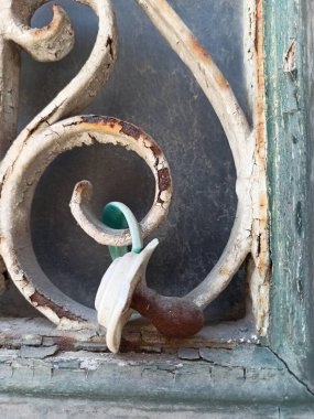 Lisboa 'dan Metal dövülmüş ızgara fotoğraf