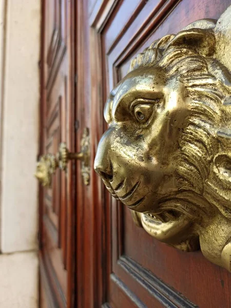 Gold Lion Door Photo Animal Statue Lion Architecture Sculpture Decoration — Stockfoto