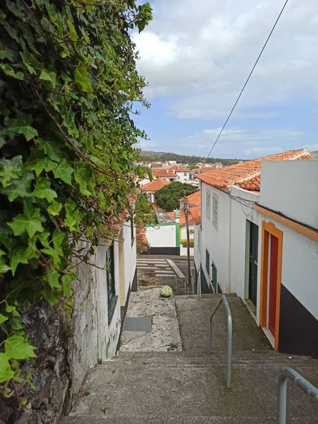Sommer Urbane Europäische Landschaft Von Der Insel Terceira Mit Viel — Stockfoto