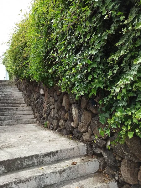 Summer Urban European Landscape Terceira Island Lots Greenery Old Streets — Stock Fotó