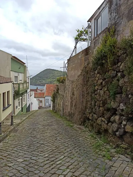 Paisaje Urbano Europeo Verano Desde Isla Terceira Con Mucha Vegetación — Foto de Stock