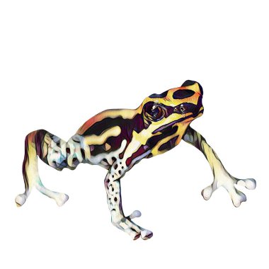 Kesmesi kolay, yaratıcılığın için beyaz bir zemine el çizimi kurbağa.