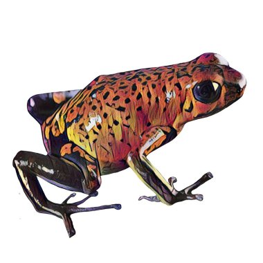 Kesmesi kolay, yaratıcılığın için beyaz bir zemine el çizimi kurbağa.