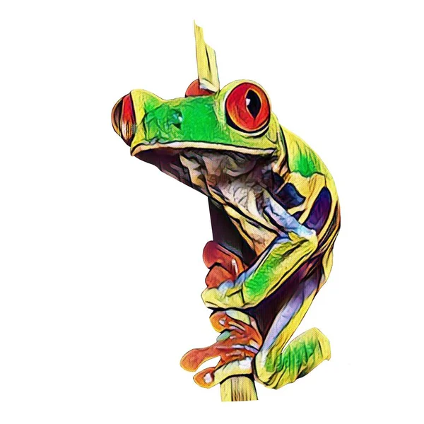 Easy Cut Hand Drawn Frog White Background Your Creativity — Fotografia de Stock