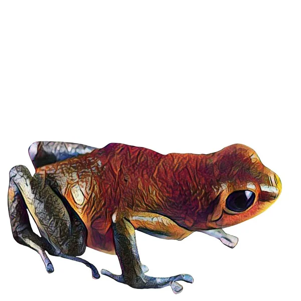 Easy Cut Hand Drawn Frog White Background Your Creativity — Φωτογραφία Αρχείου