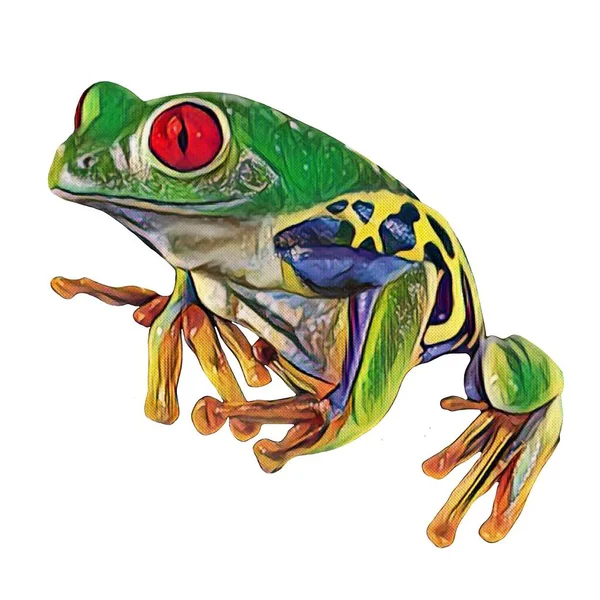 Easy Cut Hand Drawn Frog White Background Your Creativity — Foto de Stock