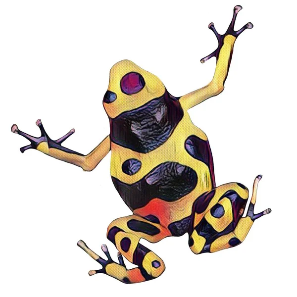 Easy Cut Hand Drawn Frog White Background Your Creativity — Fotografia de Stock