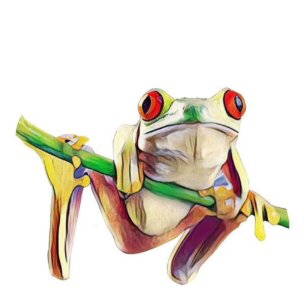 Easy Cut Hand Drawn Frog White Background Your Creativity — Foto Stock