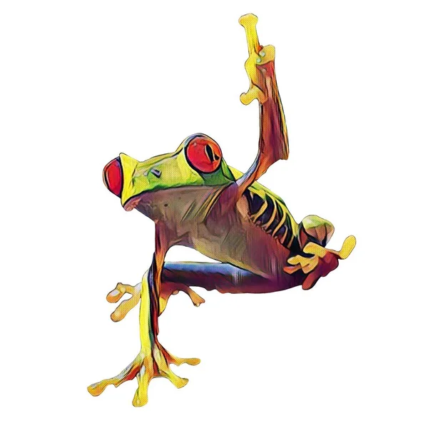 Easy Cut Hand Drawn Frog White Background Your Creativity — Stock fotografie