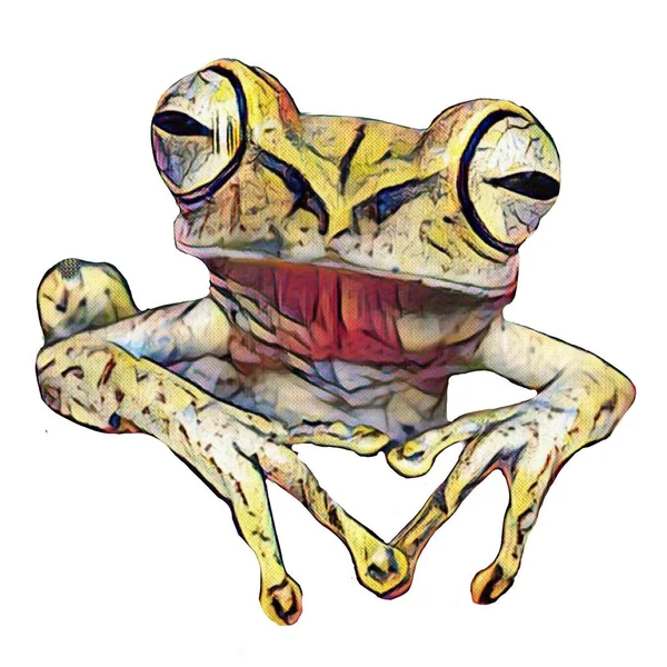 Easy Cut Hand Drawn Frog White Background Your Creativity — 图库照片