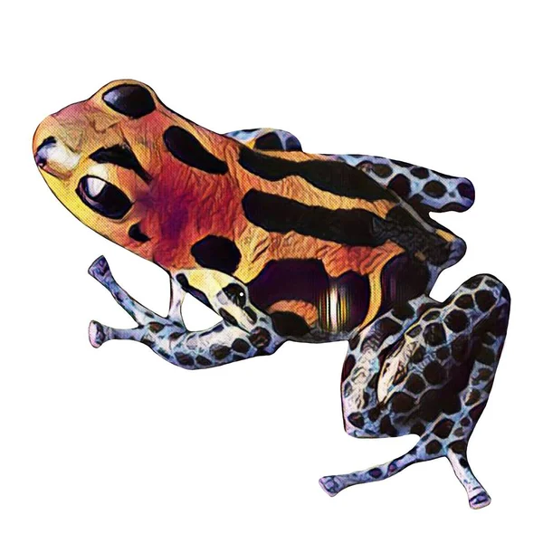 Easy Cut Hand Drawn Frog White Background Your Creativity — Foto Stock