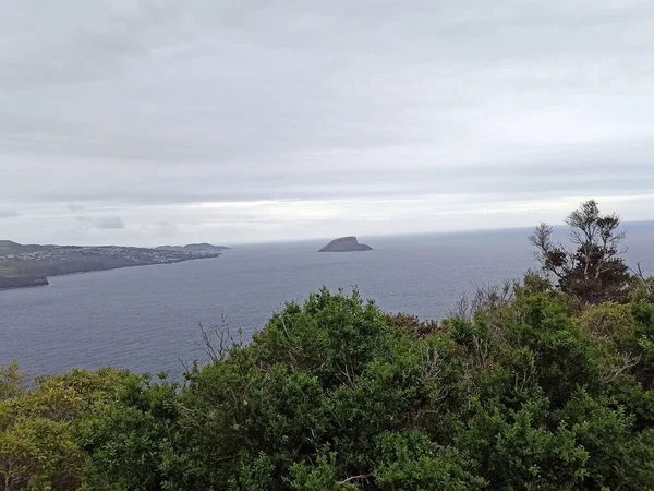 Azores Portugal Beautiful Scenery Terceira Island Incredible Vegetation May 2022 — Fotografia de Stock
