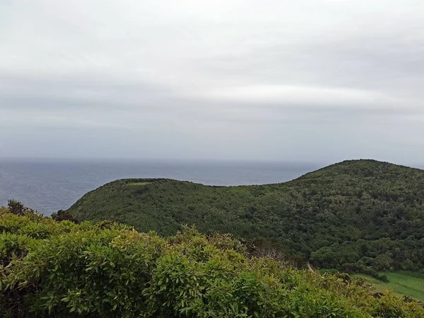 Αζόρες Πορτογαλία Όμορφο Τοπίο Από Νησί Terceira Απίστευτη Βλάστηση Μπορεί — Φωτογραφία Αρχείου