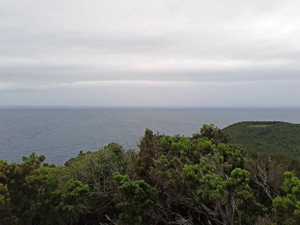 Αζόρες Πορτογαλία Όμορφο Τοπίο Από Νησί Terceira Απίστευτη Βλάστηση Μπορεί — Φωτογραφία Αρχείου