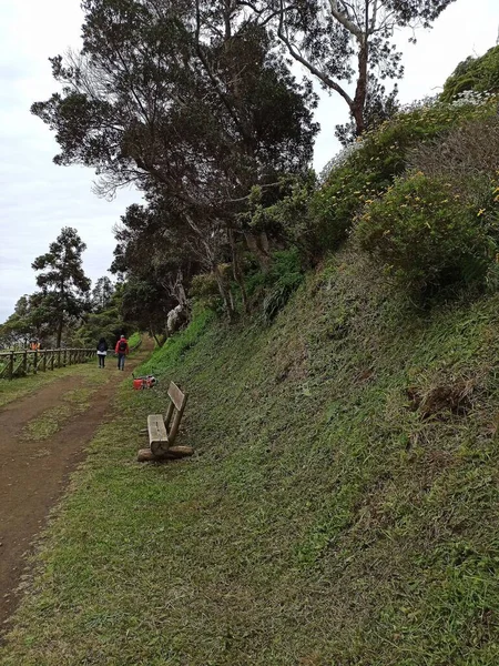 Azores Portugal Beautiful Scenery Terceira Island Incredible Vegetation May 2022 — Stock Fotó