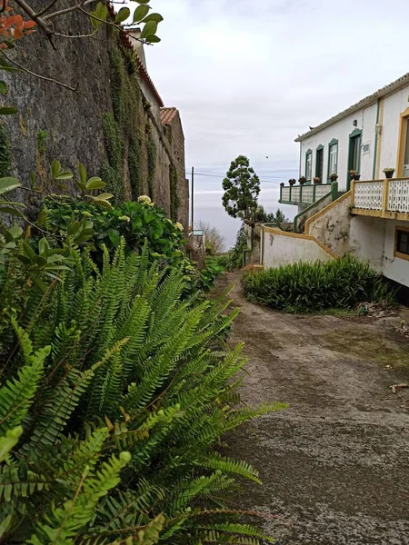Paisagem Paisagem Urbana Ilha Terceira Nas Imediações Vulcão Com Bela — Fotografia de Stock