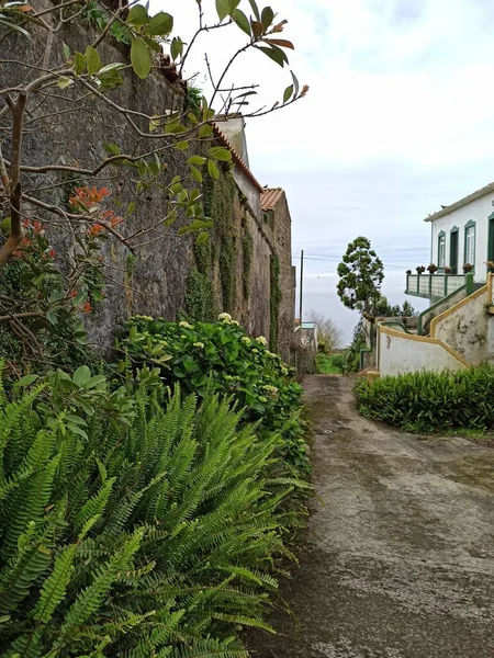 Landscape Cityscape Island Terceira Vicinity Volcano Beautiful Vegetation Photographed May — Stock Photo, Image