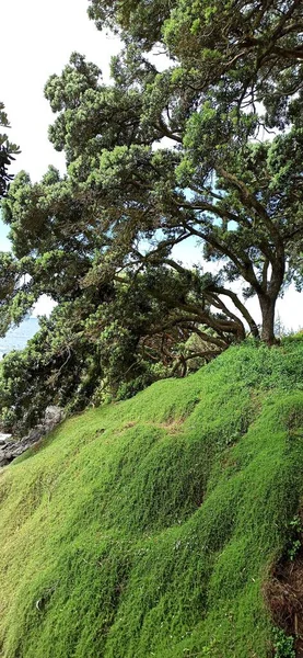 Stadsutsikt Över Stranden Azorerna Landskap Otrolig Utsikt Från Terceira Hamnstad — Stockfoto