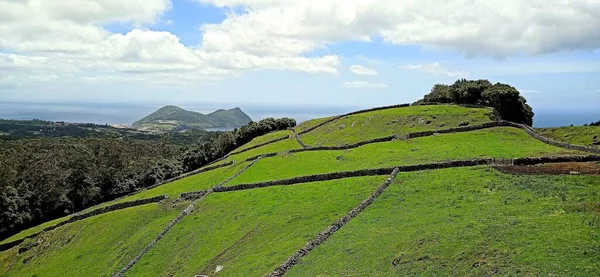 Açores Paisagem Florestal Bom Tempo Estrada Através Floresta Área Recreação — Fotografia de Stock