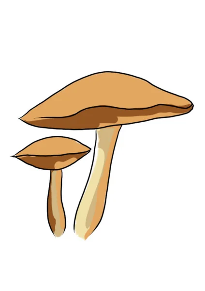 在程序 中绘制的白色背景上绘制的不同类型的彩色蘑菇 — 图库照片