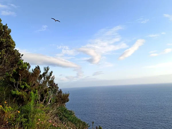 Krajina Výhledem Kopce Terceira Zpět Slunečno Částečně Zataženým Počasím — Stock fotografie