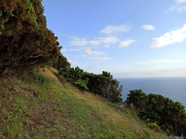 Τοπίο Θέα Προς Και Από Τους Λόφους Του Terceira Sunny — Φωτογραφία Αρχείου
