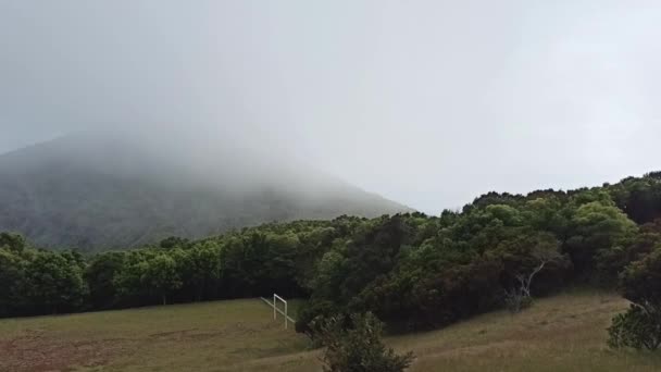 在特尔西拉岛上的山丘上 下着厚重的雨 在云彩中 下着青山 — 图库视频影像