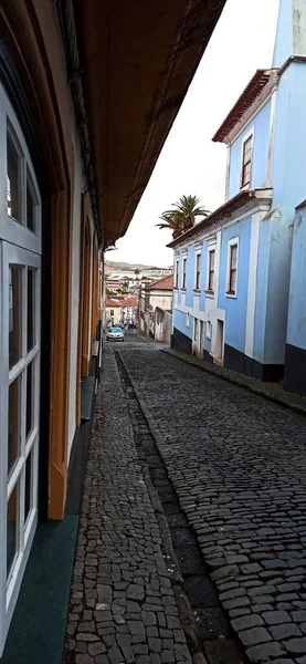 Summer Urban European Landscape Terceira Island Lots Greenery Old Streets — Stock fotografie