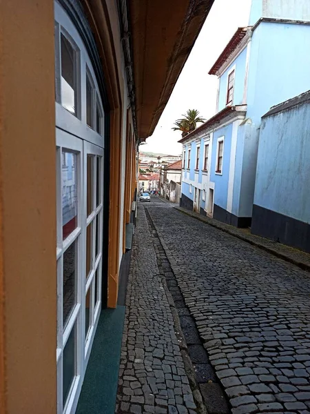 Summer Urban European Landscape Terceira Island Lots Greenery Old Streets — Stockfoto