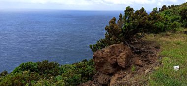 Terceira Adası 'ndan okyanusa doğru şehrin elementleriyle birlikte bitki örtüsünün içinden ve içinden geçen görüntüler.