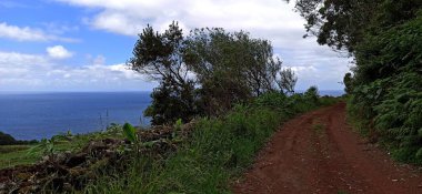 Terceira Adası 'ndan okyanusa doğru şehrin elementleriyle birlikte bitki örtüsünün içinden ve içinden geçen görüntüler.