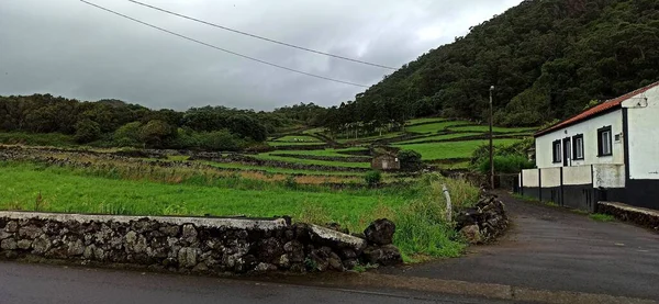 Vistas Desde Isla Terceira Hacia Océano Través Través Vegetación Con —  Fotos de Stock