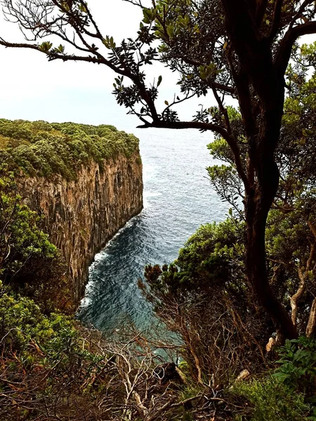 Vista Capa Ilha Terceira Através Densa Vegetação Meio Oceano Atlântico — Fotografia de Stock